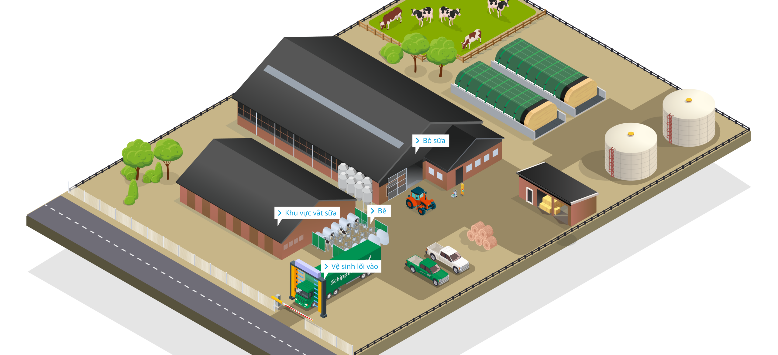 Dairy Farm Overview