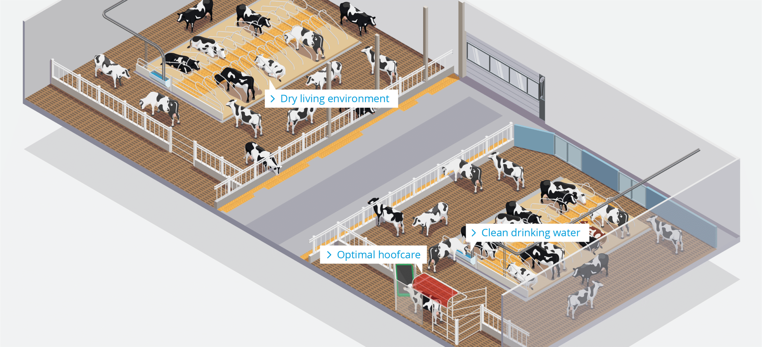 Dairy Farm – Dairy Cows – EN