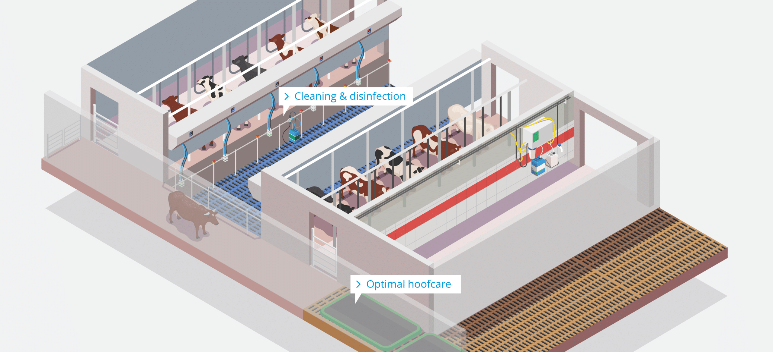 Dairy Farm – Milking Parlour – EN