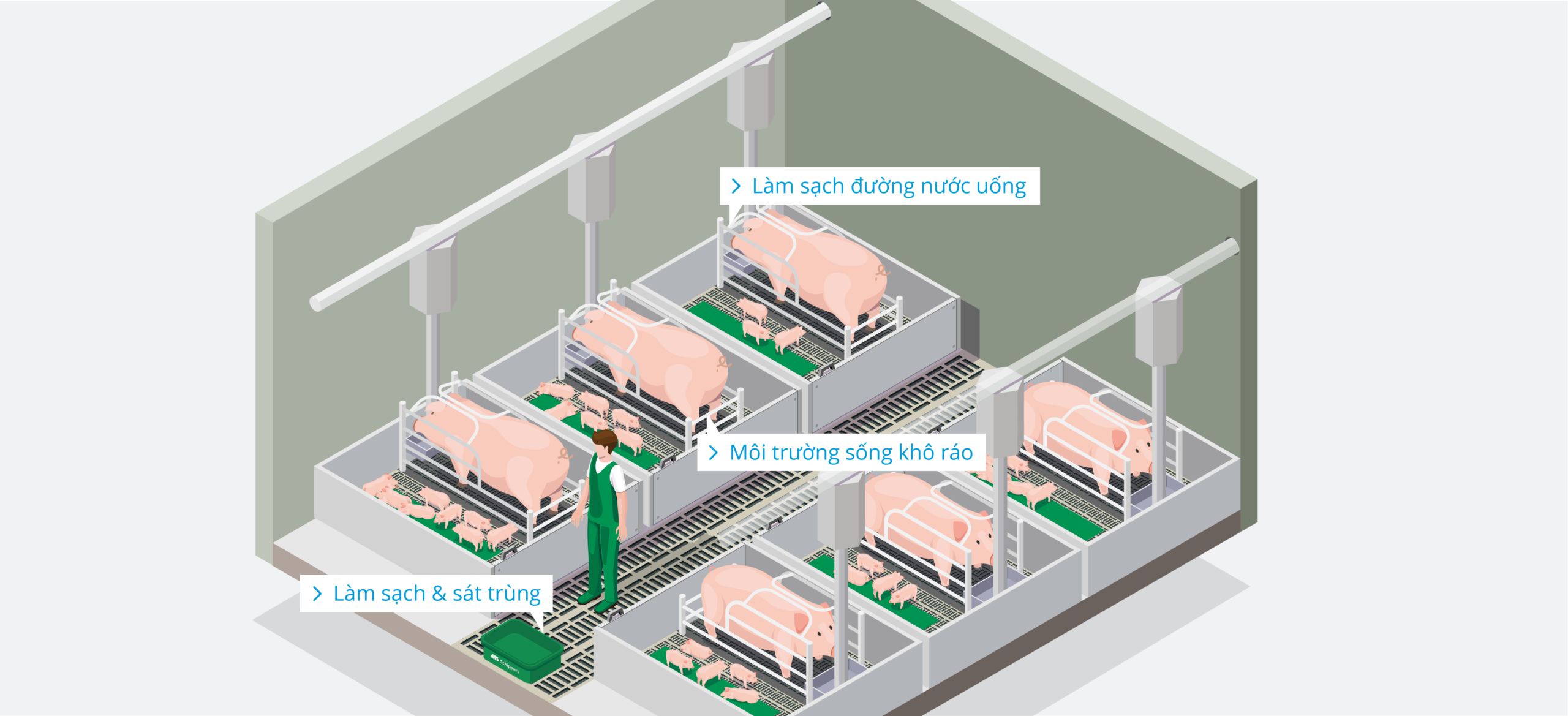 Pig Farm – Farrowing