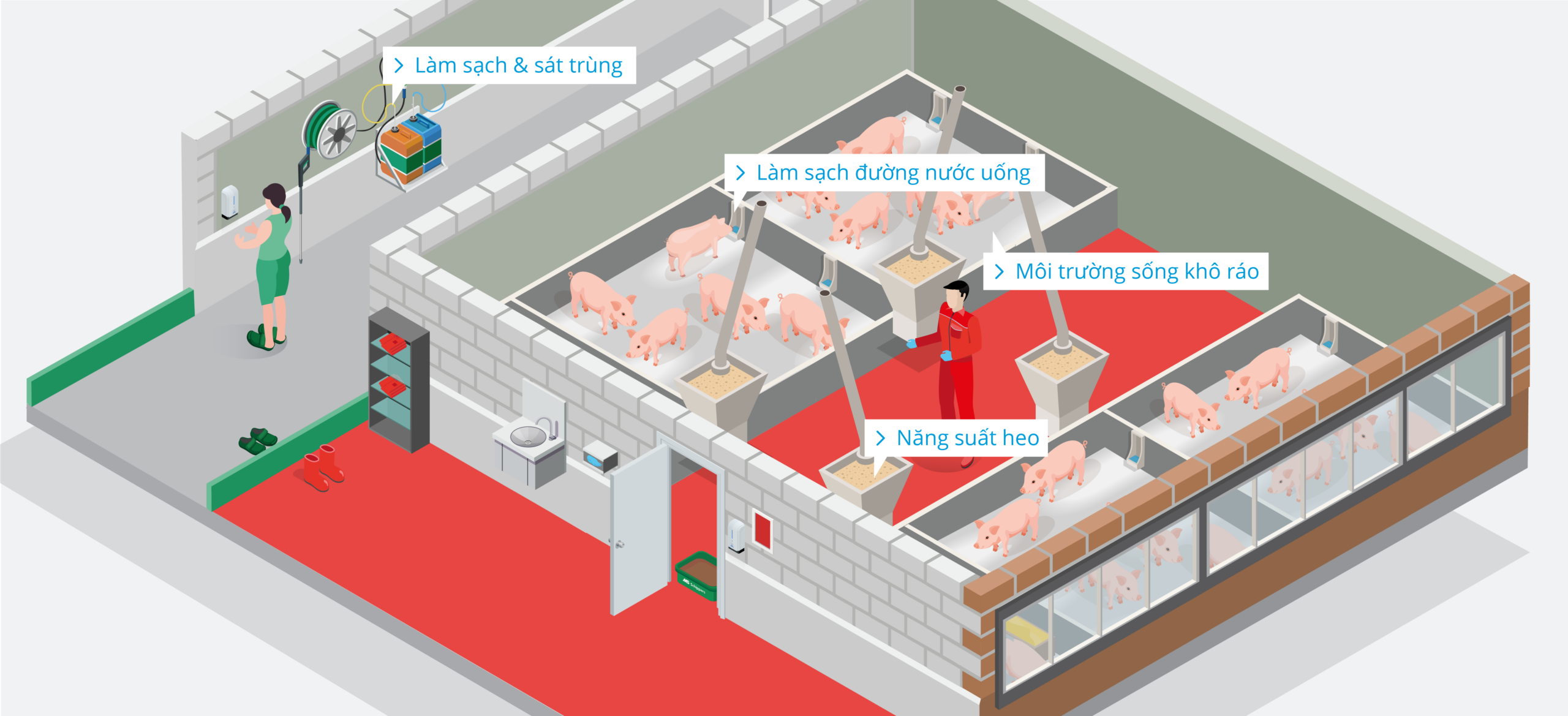 Pig Farm – Finishing