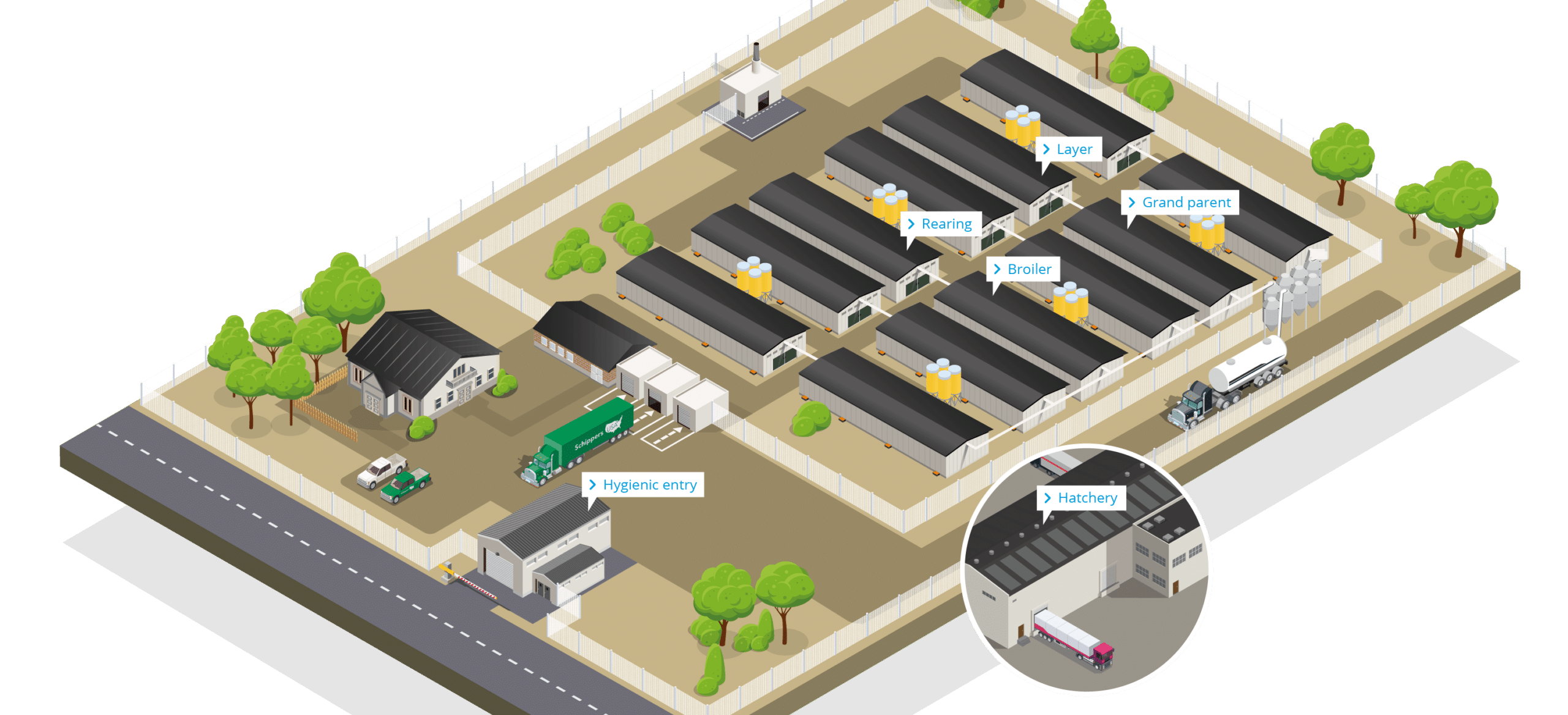 Poultry Farm Overview – EN