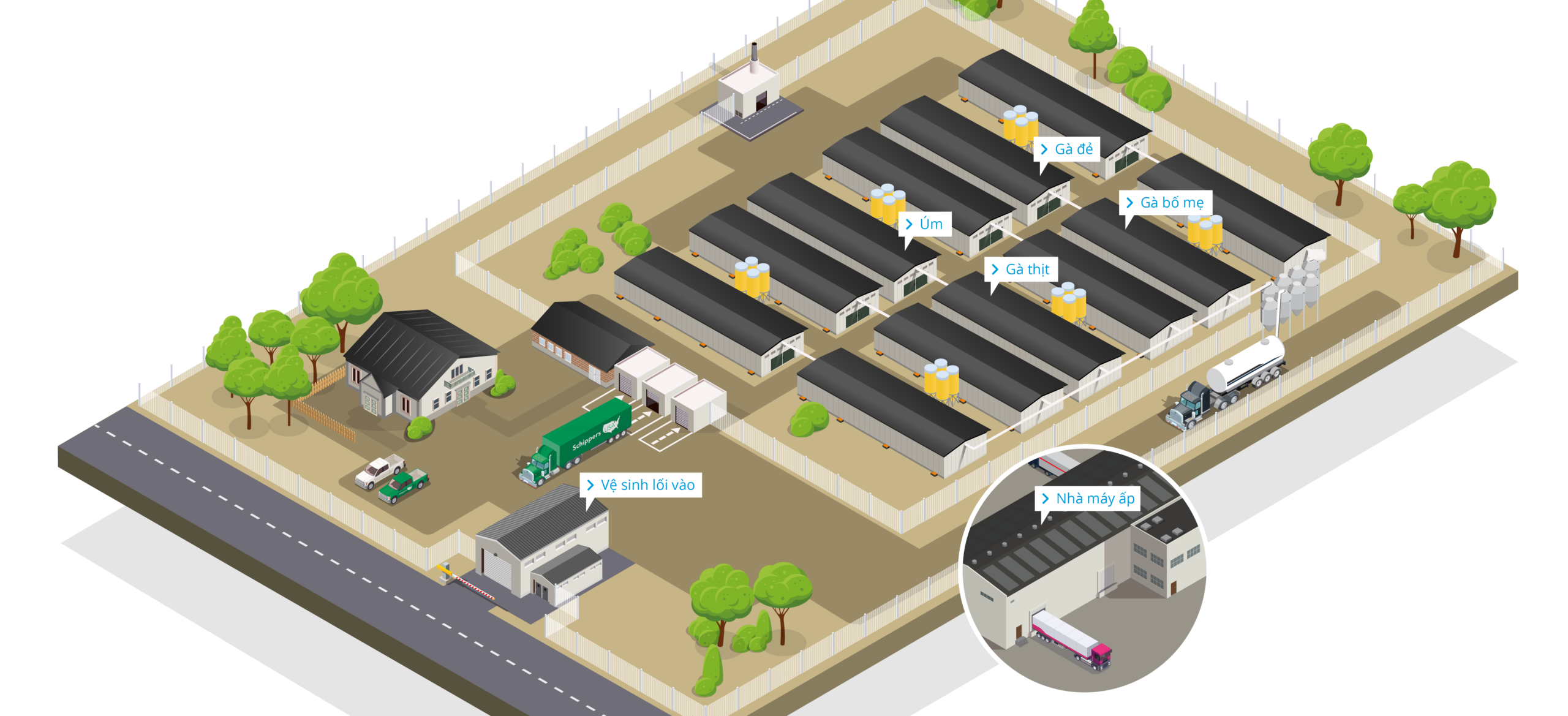 Poultry Farm Overview