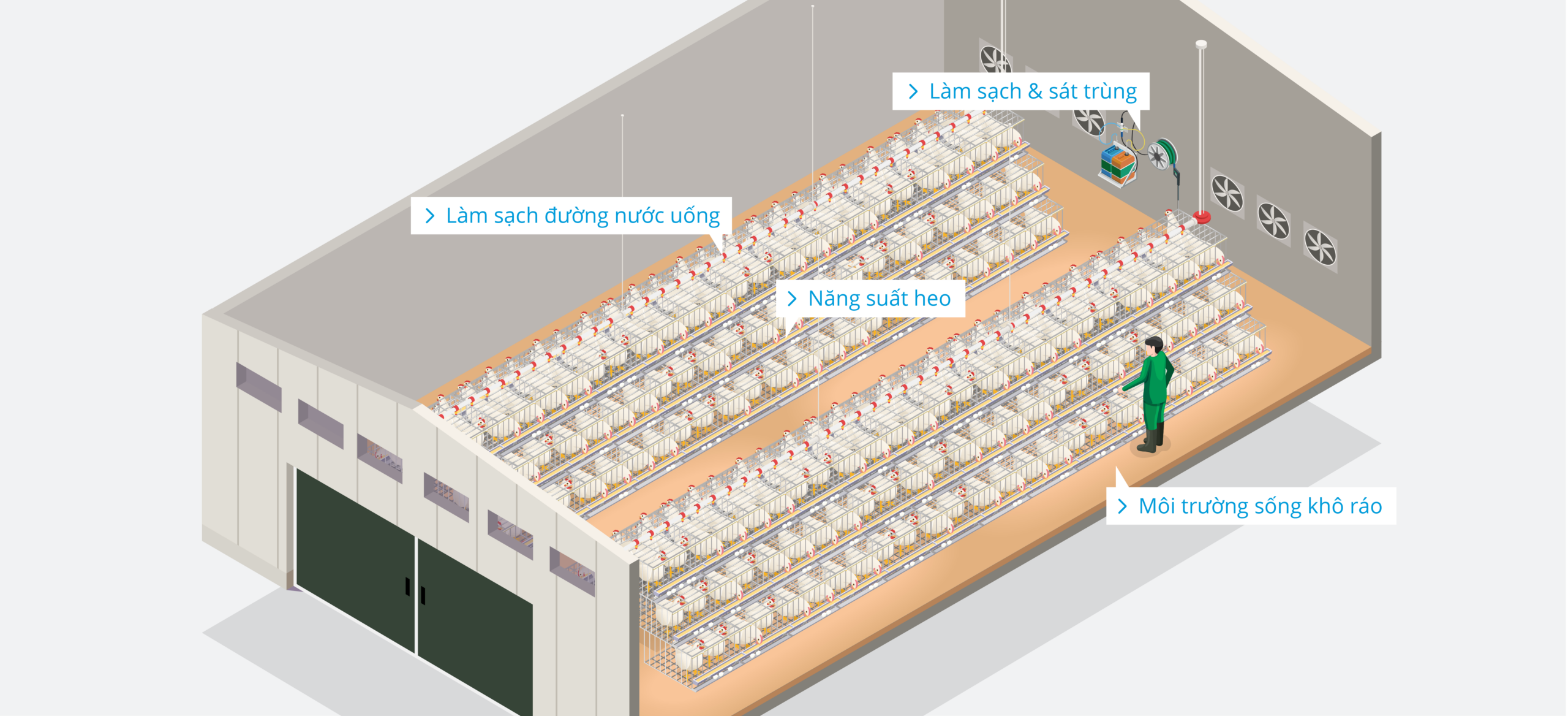 Poultry Farm – Grand parent