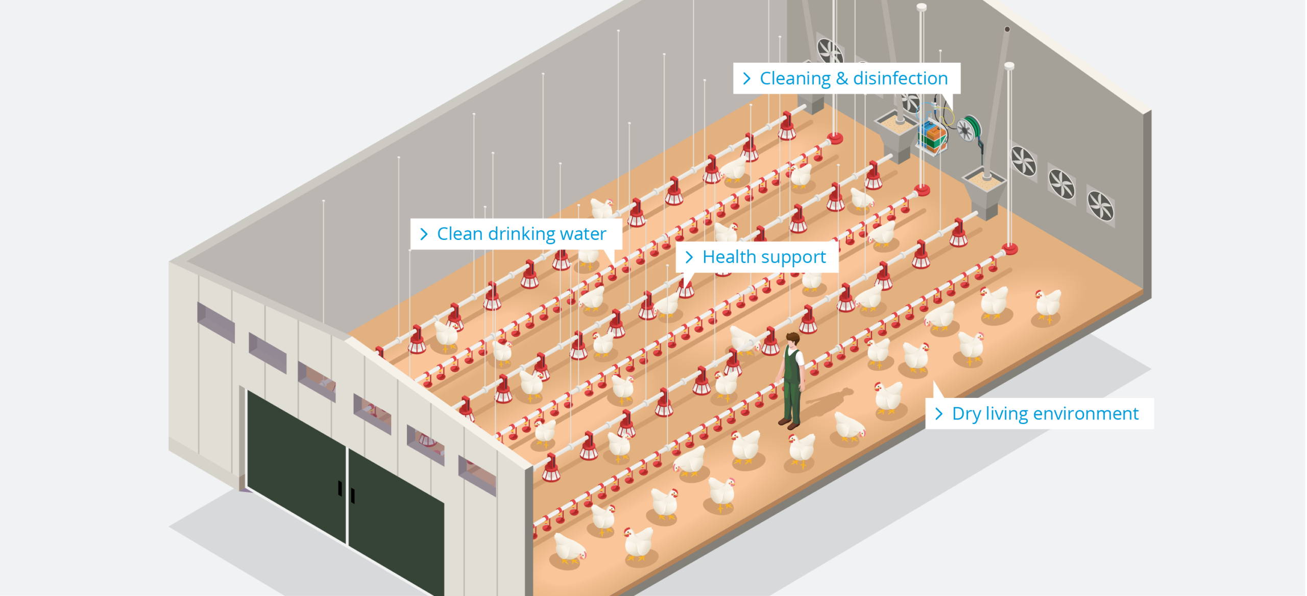 Poultry Farm – Broiler – EN