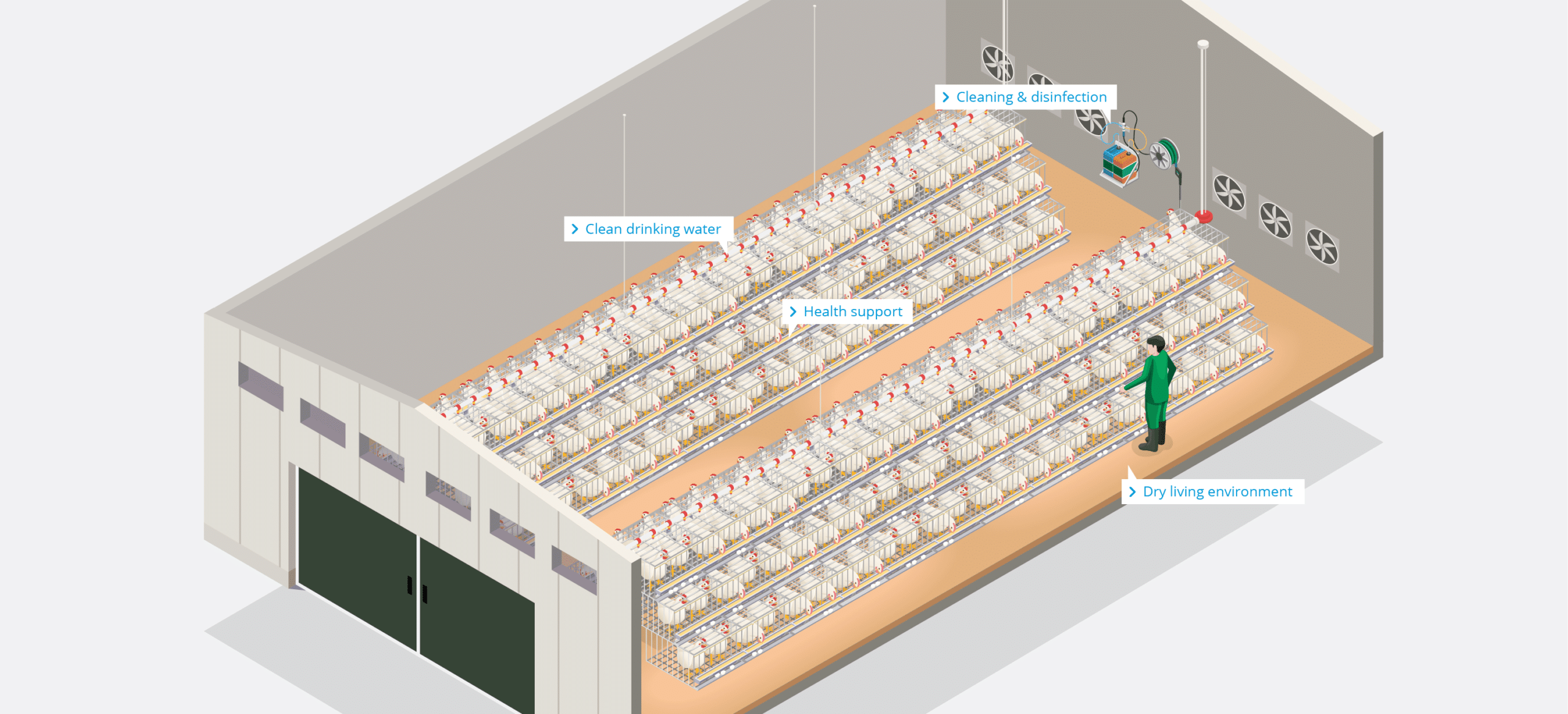 Poultry Farm – Layers – EN