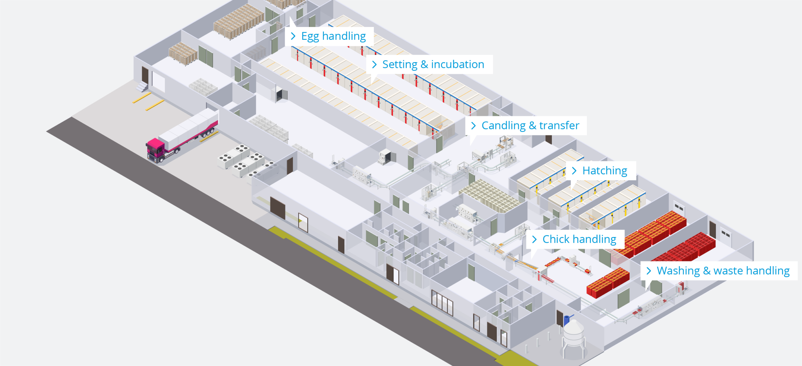 Poultry Farm – Hatchery – EN